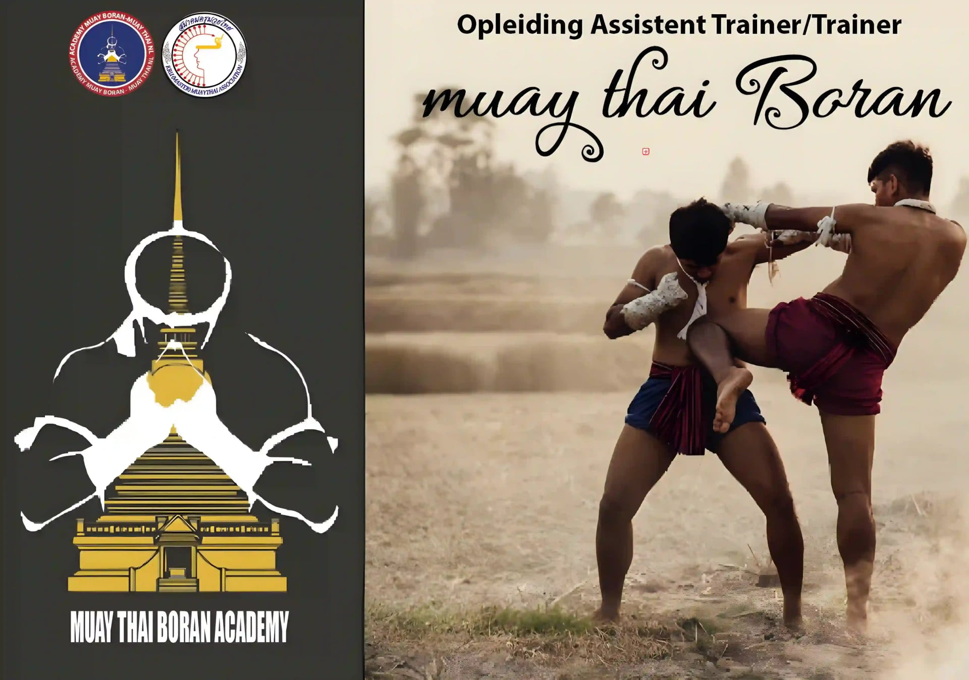 Traditional Muay Thai Training Techniques